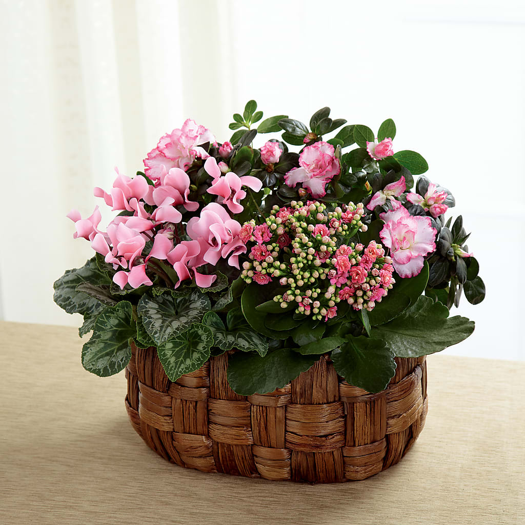Pink Assortment – Wolf Luna Bloom Llc, Plant City FL
