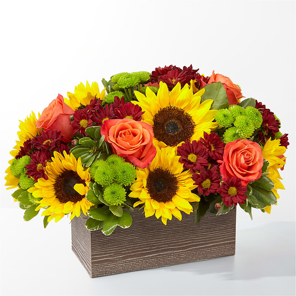 Happy Harvest Garden – Wolf Luna Bloom Llc, Plant City FL