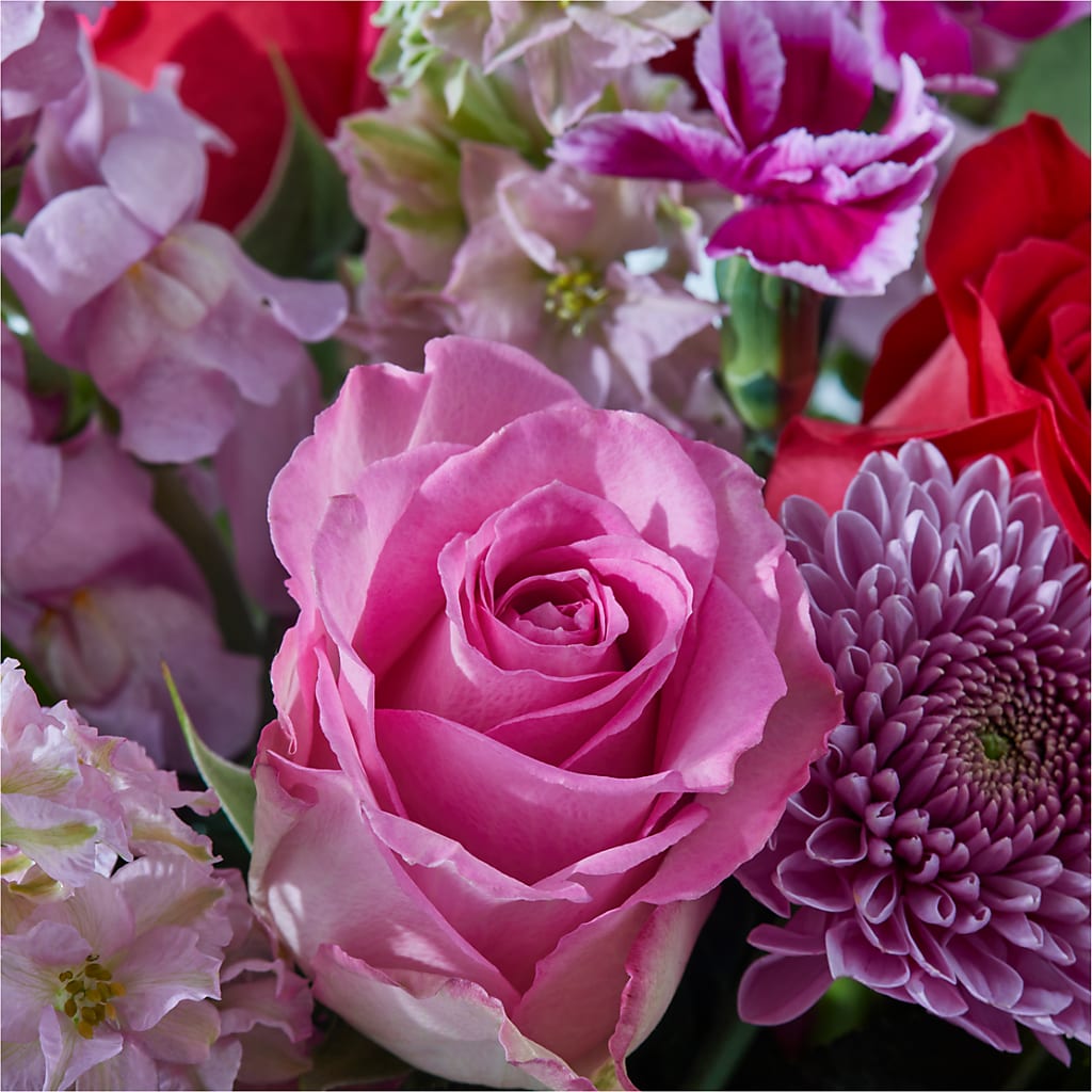 Better Together - A Luxury Florist Original – Wolf Luna Bloom Llc, Plant City FL