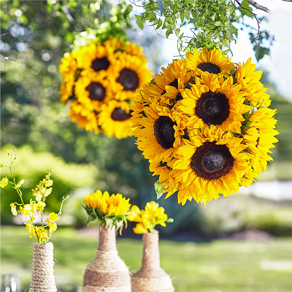 Sublime Garden Hanging Arrangement – Wolf Luna Bloom Llc, Plant City FL