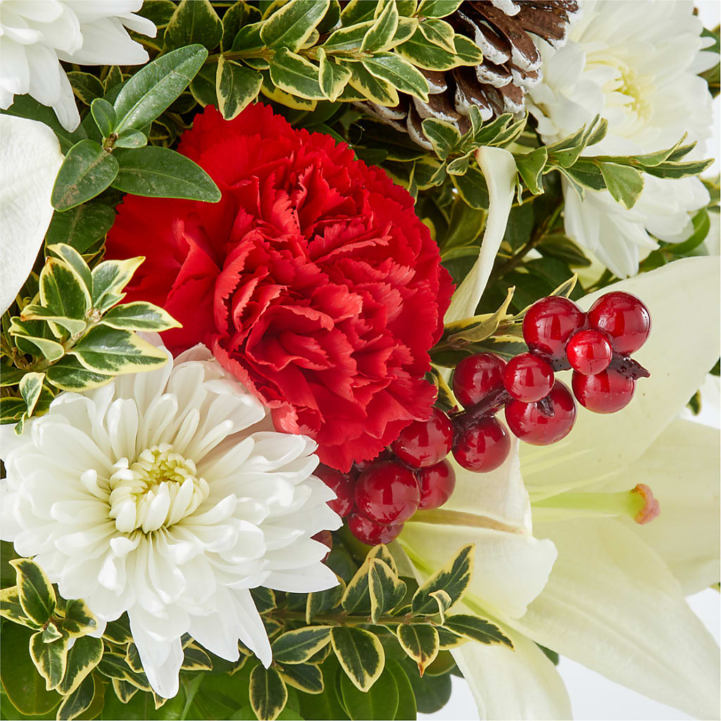 Festive Moments Tree –  Wolf Luna Bloom Llc, Plant City FL