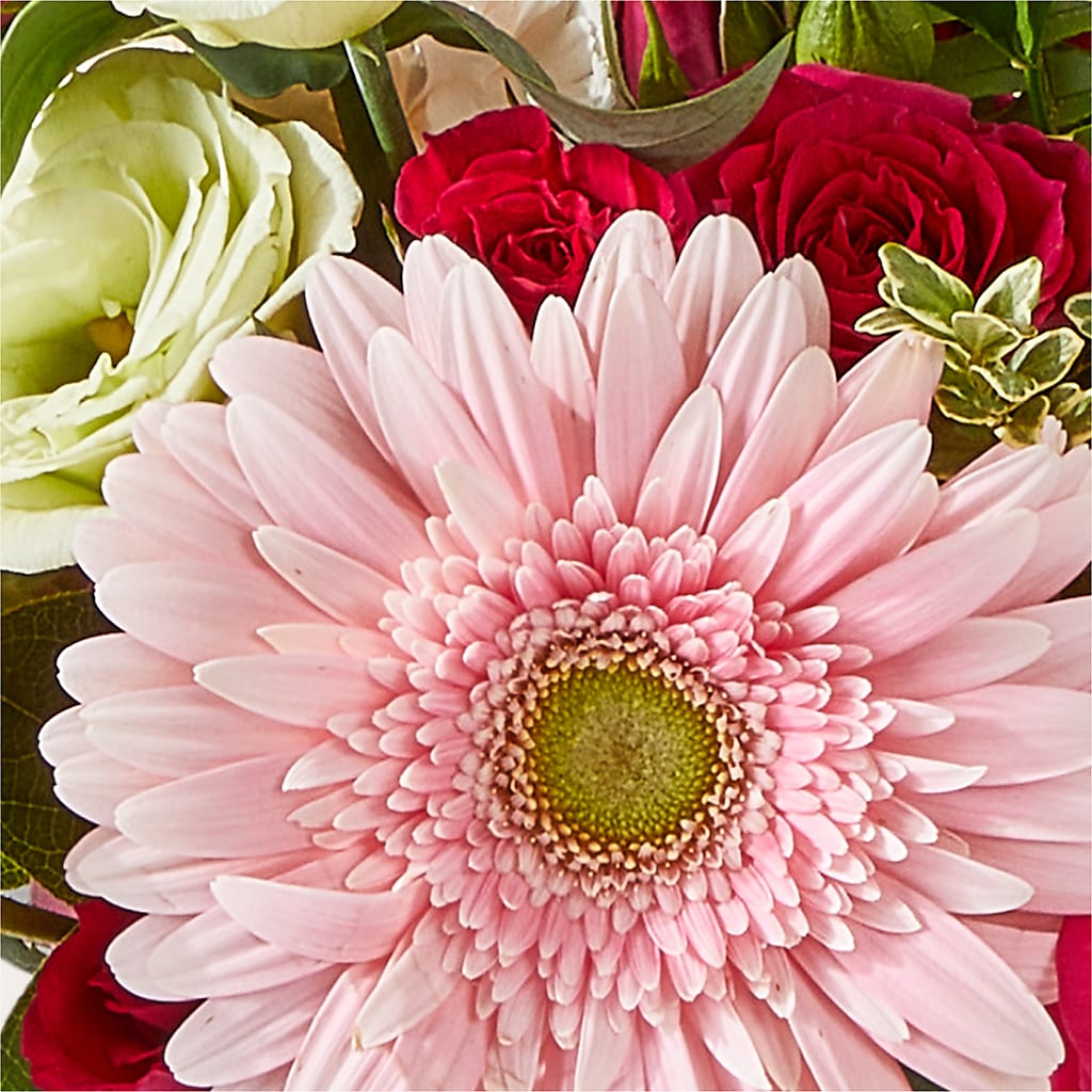 Too Cute Bouquet –  Wolf Luna Bloom Llc, Plant City FL