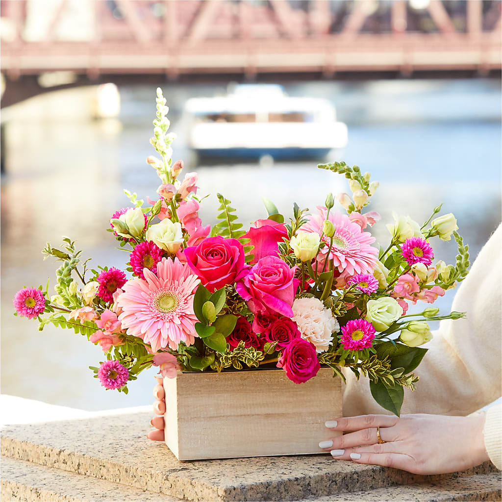 Too Cute Bouquet –  Wolf Luna Bloom Llc, Plant City FL