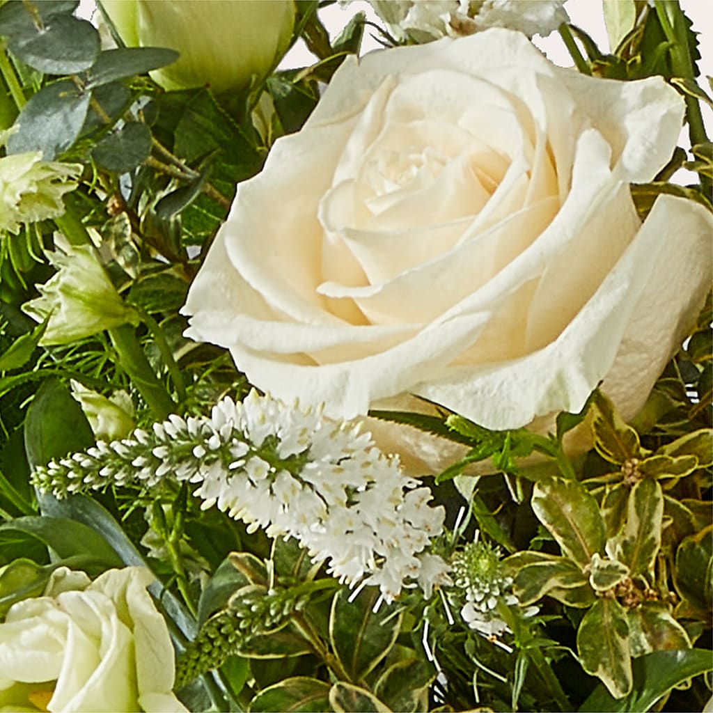 Cashmere Bouquet –  Wolf Luna Bloom Llc, Plant City FL