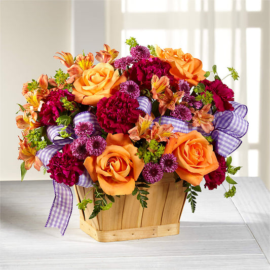 New Dream Basket
