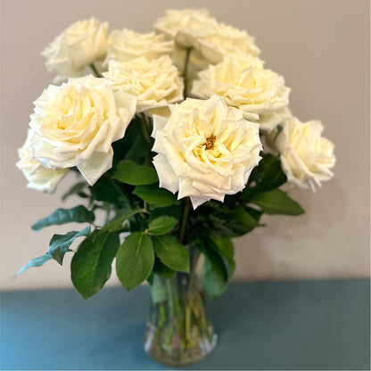 Long Stem Yellow Rose Bouquet –  Wolf Luna Bloom Llc, Plant City FL