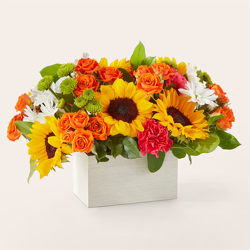 Sun-drenched Blooms Box Bouquet –  Wolf Luna Bloom Llc, Plant City FL