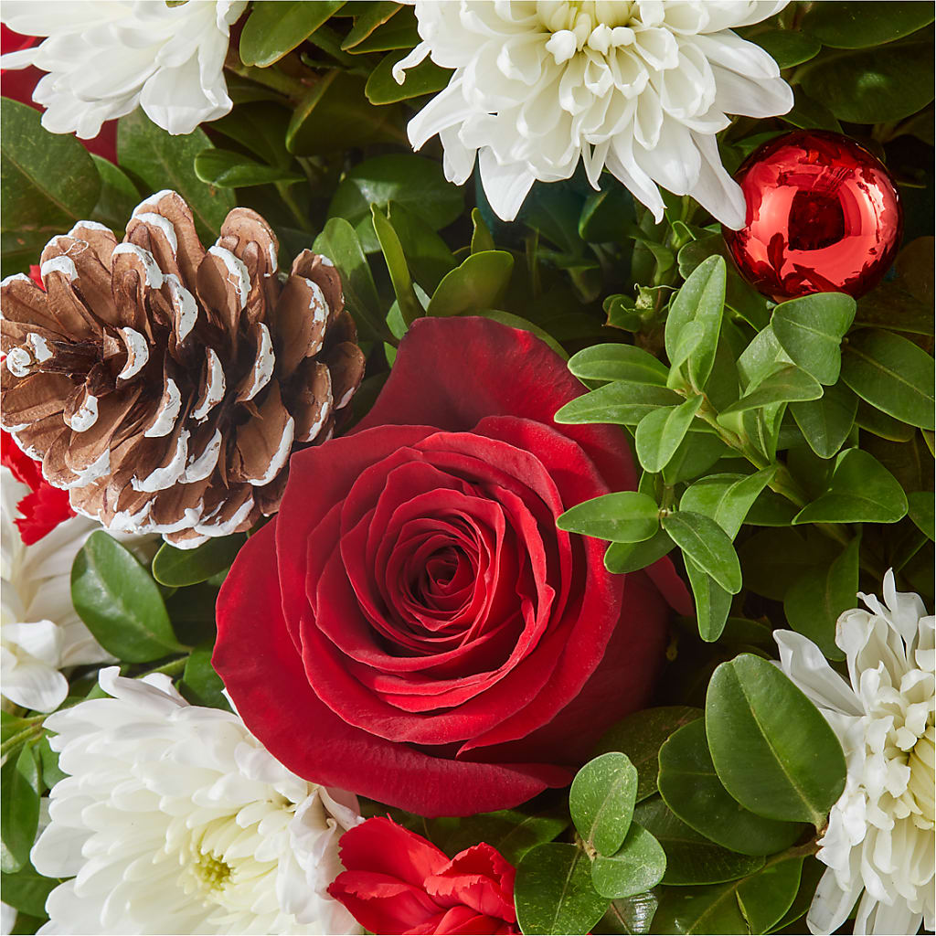 Let It Snow Tree –  Wolf Luna Bloom Llc, Plant City FL