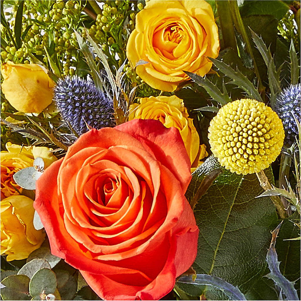 Disco Bouquet –  Wolf Luna Bloom Llc, Plant City FL