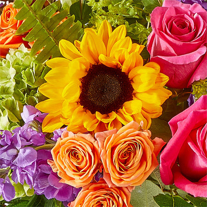 Vibrant Greetings Bouquet –  Wolf Luna Bloom Llc, Plant City FL