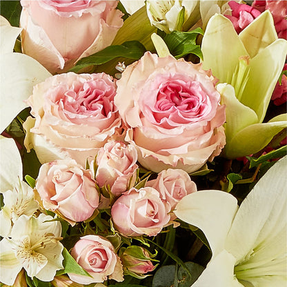 Ballet Slippers Bouquet –  Wolf Luna Bloom Llc, Plant City FL