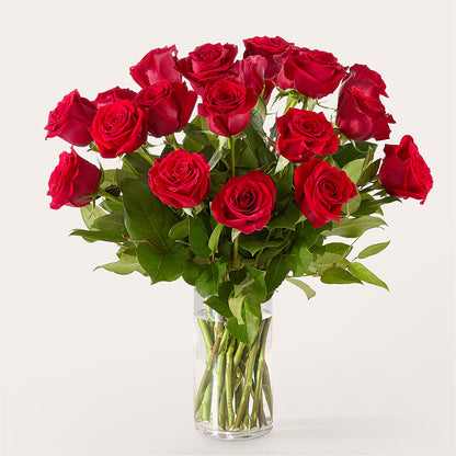 The One Red Rose Bouquet –  Wolf Luna Bloom Llc, Plant City FL