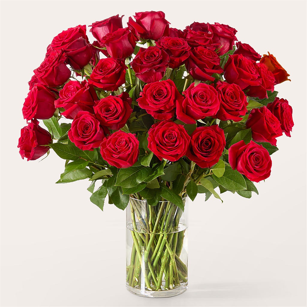 The One Red Rose Bouquet –  Wolf Luna Bloom Llc, Plant City FL