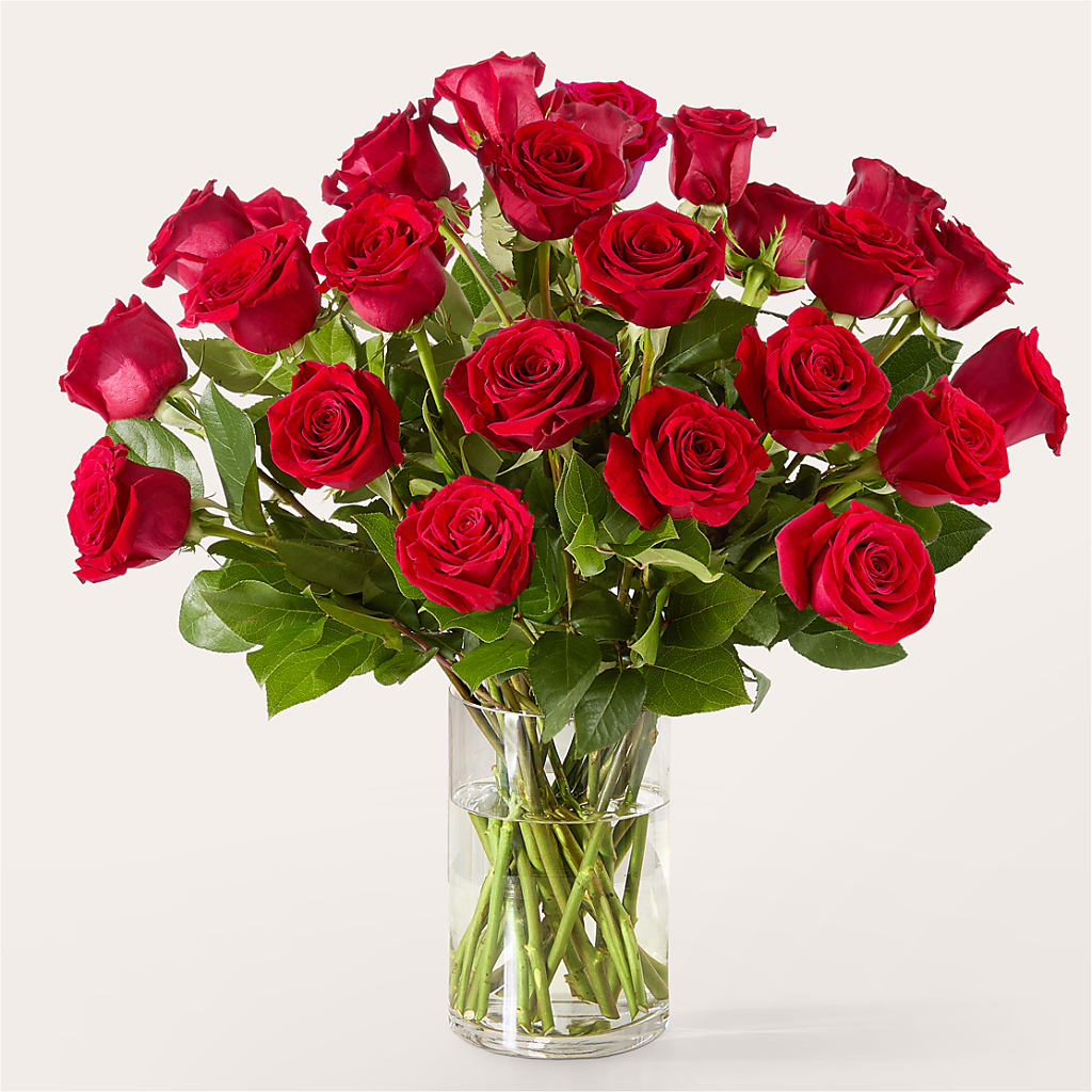 The One Red Rose Bouquet –  Wolf Luna Bloom Llc, Plant City FL