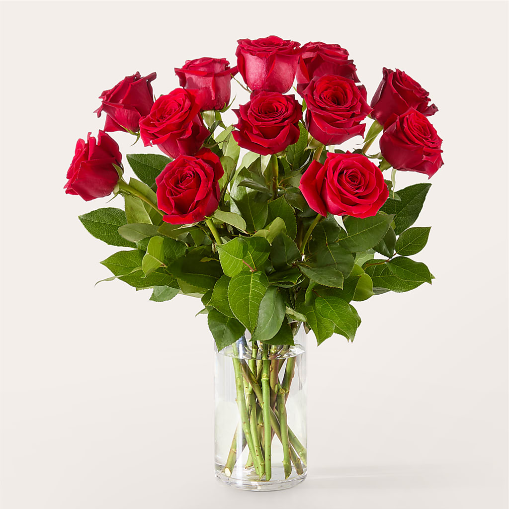 The One Red Rose Bouquet –  Wolf Luna Bloom Llc, Plant City FL