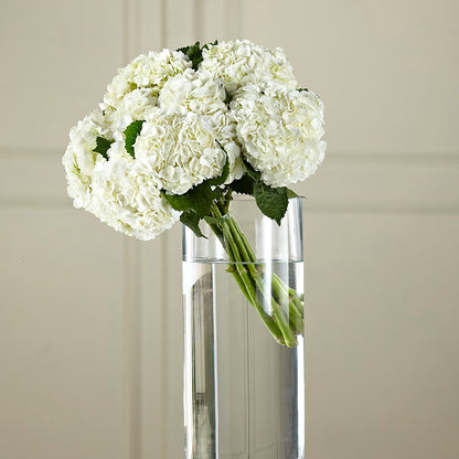 White Hydrangea Hand-Tied Bouquet –  Wolf Luna Bloom Llc, Plant City FL